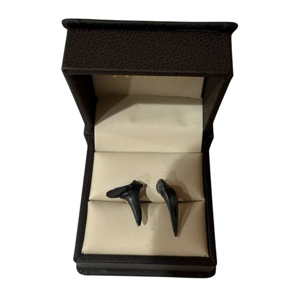 NWOT HANDMADE Black Shark Teeth Stud Earrings